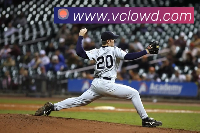 问鼎28平台生态图